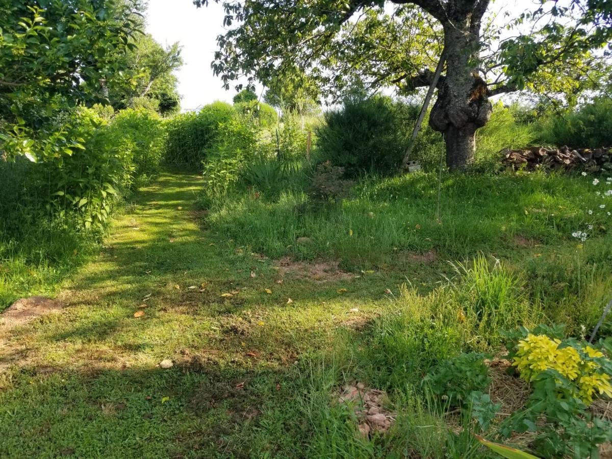 Le Petit Paradis, Mini Maison,Nature,Confort,Calme Saint-Julien-le-Petit Exterior foto