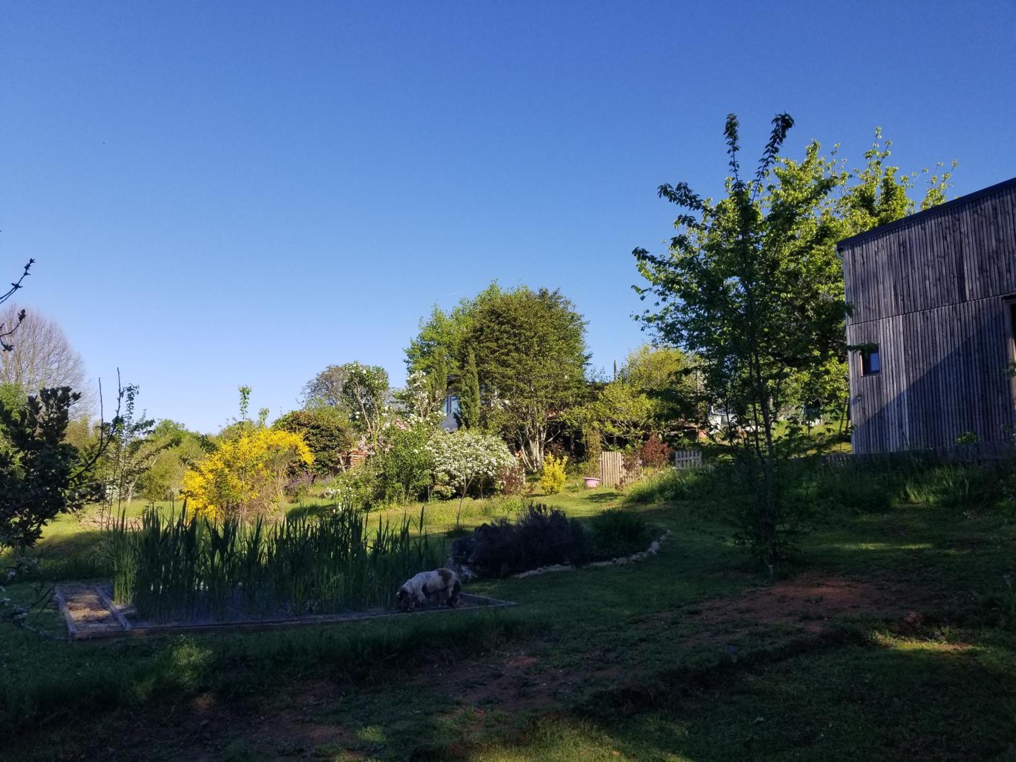 Le Petit Paradis, Mini Maison,Nature,Confort,Calme Saint-Julien-le-Petit Exterior foto